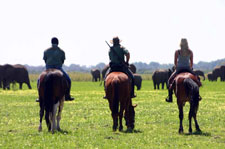 South Africa-Waterberg-Dinaka Riding Safari